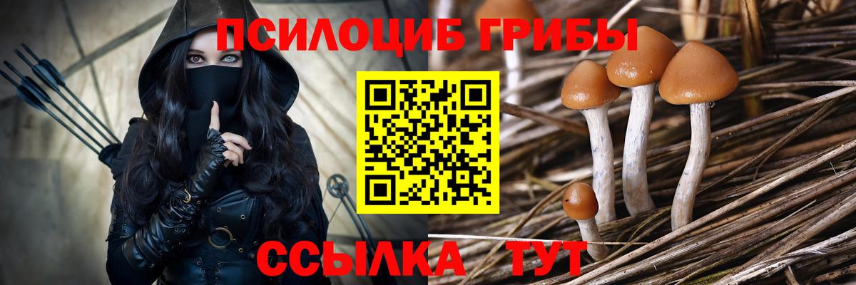 Галлюциногенные грибы Psilocybe Миллерово